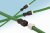 DF62W-2EP-2.2C DF62W-2EP-2.2C