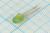 Светодиод круглый 5x7мм,зеленый, 6.0 мкд, 50 градусов ,линза зеленая матовая, АЛ307нм; №5092 G СД 5 x 7 \зел\ 6,0\ 50\зел мат\АЛ307НМ
