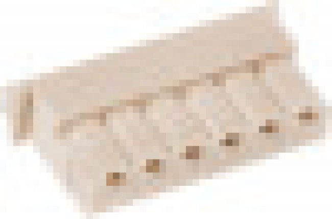 50375063