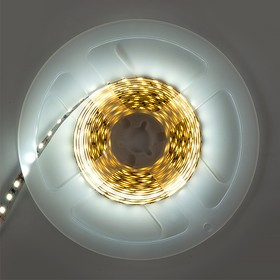 General Лента Светодиодная 3 метра с адаптером 9,6Вт 12В SMD2835 8мм 360 диодов 7 Лм/чип IP20 6500К Холодный белый свет 501421 GLS-2835-120- General Лента Светодиодная 3 метра с адаптером 9,6Вт 12В SMD2835 8мм 360 диодов 7 Лм/чип IP20 6500К Холодный белый свет 501421 GLS-2835-120-