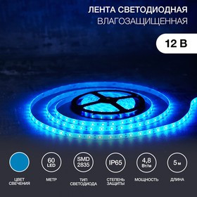 141-353, Лента светодиодная 12В, SMD2835, 4,8Вт/м, 60 LED/м, синий, 8мм, 5м, IP65