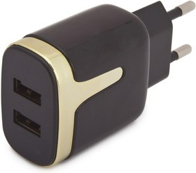 Блок питания (сетевой адаптер) HOCO C64A с 2 USB портами 2,1A черный