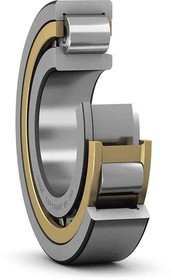 NJ 311 ECJ/C3 55mm I.D Cylindrical Roller Bearing, 120mm O.D