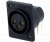 CP300151, Гнездо, XLR, "мама", PIN: 3, угловой 90°, на панель, винтами, ТНТ CP300151, Гнездо, XLR, "мама", PIN: 3, угловой 90°, на панель, винтами, ТНТ