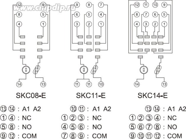 Цоколь SKC14-E, 10A(300V), винтовой зажим, черный, на рейку DIN35/панель, для RKE, RKF, R4N, MY4, 55.34, KMY4, PT4, RCM5 Цоколь SKC14-E, 10A(300V), винтовой зажим, черный, на рейку DIN35/панель, для RKE, RKF, R4N, MY4, 55.34, KMY4, PT4, RCM5