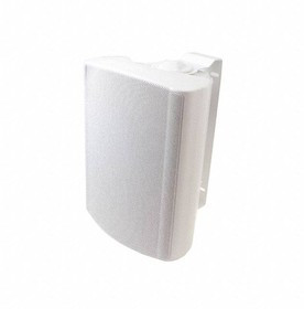 WB 13 - 100 V/8 OHM (WHITE)