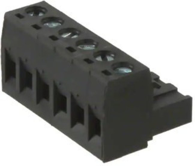 395300006