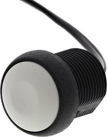 IRR3F472, Push Button Switch, Momentary, Panel Mount, 14.8mm Cutout, SPST, 250V ac, IP67