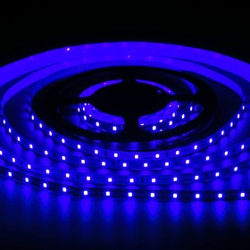 Светодиодная лента MAKSILED 1м, 12В, 4,8Вт/м, 60д/м, IP20, 70Лм/м, синий, 8мм, ML-R60-2835-B-LP-S Светодиодная лента MAKSILED 1м, 12В, 4,8Вт/м, 60д/м, IP20, 70Лм/м, синий, 8мм, ML-R60-2835-B-LP-S