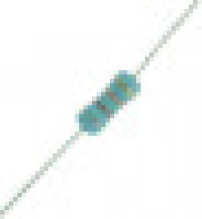 MF1/4DC1053F MF1/4DC1053F