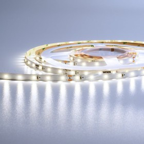 Decor Светодиодная лента SMD2835 6Вт 6500К 24В IP20 60led/m WLS2835-6W/6500/24H60-01