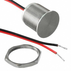 MPZ019/F, Pushbutton Switches 19MM non illuminated flat head Stainless