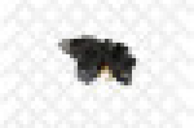 Реле-регулятор 14.5v Audi A4/A6, VW Passat all  05 STELLOX 0671825_SX