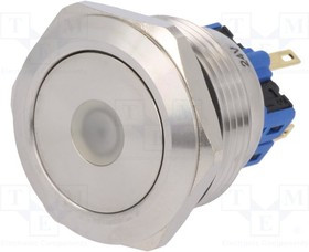 V28-21D-24R-S, Переключатель: антивандальный, Пол: 2, SPDT, 3A/220ВAC, 5A/24ВDC