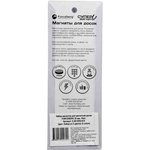 Набор магнитов Forceberg для магнитной доски, D20 мм, 10 шт