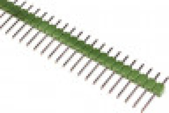 5-826926-0, Conn Unshrouded Header HDR 50 POS 2.54mm Solder ST Top Entry Thru-Hole Box/Carton