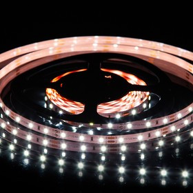 Светодиодная лента MAKSILED 1м, 12В, 4,8Вт/м, 60д/м, IP20, 480Лм/м, холодный белый, 8мм, ML-R60-2835-CW-LP-S