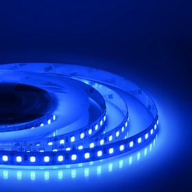 00-106 Светодиодная лента 12В, ПРО, 20Вт/м, smd2835, 120д/м, IP20, подложка 10мм, 5м, син.