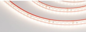 Светодиодная лента герметичная RTW-PS-A120-10mm 24V Day4000 9.6 Вт/м 5 м 022322(2)