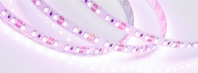 Светодиодная лента RT-A120-8mm 12V Pink 5 м 015897(2)