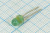 Светодиод 5 x 7, зеленый, 1,5 мкд, угол 50, цвет линзы: зеленый матовый, АЛ307ГМ