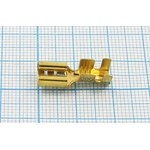 Клемма розетка, 6,4x0,8, 2,5-6мм2, латунь, замок Клемма розетка, 6,4x0,8, 2,5-6мм2, латунь, замок