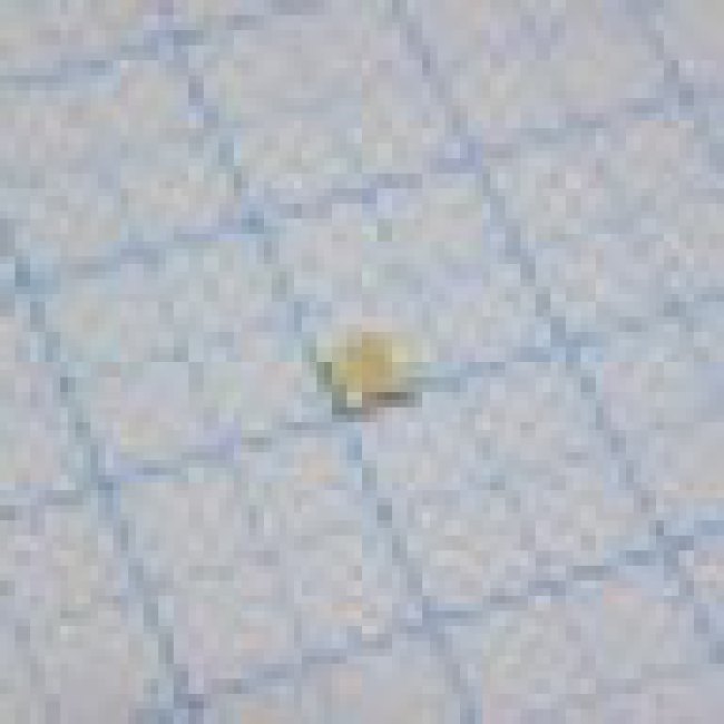 HSMF-C155, Светодиод, Зеленый Красный, SMD (Поверхностный Монтаж), 3.2мм x 2.8мм, 170 °, Прямоугольная HSMF-C155, Светодиод, Зеленый Красный, SMD (Поверхностный Монтаж), 3.2мм x 2.8мм, 170 °, Прямоугольная