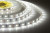 Светодиодная лента 300smd диодов (2835), 12в, 5м, белый 6500-7000к ELF-300SMD2835NWw6500