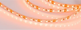 Светодиодная лента RT-A120-8mm 12V Orange 5 м 015902(2)