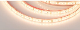 Светодиодная лента герметичная RTW-PS-A120-10mm 12V Warm2700 9.6 Вт/м 5 м 028547(2)