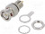 112420, RF Connectors / Coaxial Connectors BNC BULKHEAD PLUG 50 OHM BR/DL