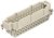 09-3441-00-05, Binder Male 5 way M12 to Unterminated Sensor Actuator Cable, 200mm 09-3441-00-05, Binder Male 5 way M12 to Unterminated Sensor Actuator Cable, 200mm