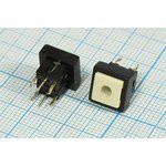 Тактовая кнопка, 10x10x 9.8, алгоритм работы NO, IL2Всиний, контакты 6P, PB6141L-3