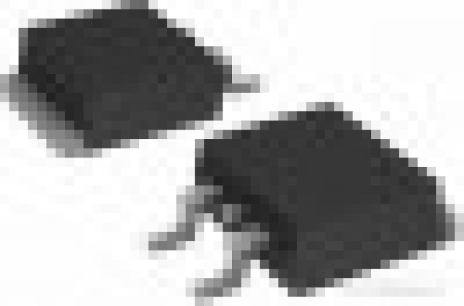 IRF9640STRLPBF, Trans MOSFET P-CH 200V 11A 3-Pin(2+Tab) D2PAK T/R