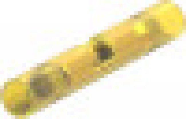 327638