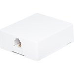 TJC6P4C-W, Розетка RJ-14 телефонная на стену, 1 гнездо , белая (SS324)