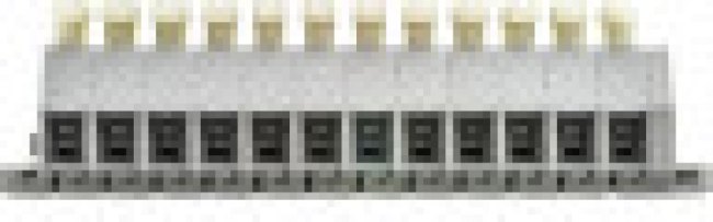 261-112/341-000, 12-полюсная 2-пров. колодка, 0,08-2,5 мм2, кноп.с обеих сторон