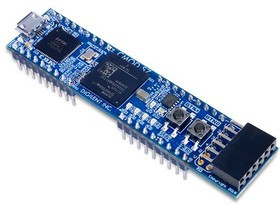 410-376, Модуль