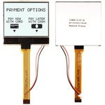 NHD-C160100DIZ-FSW-FBW