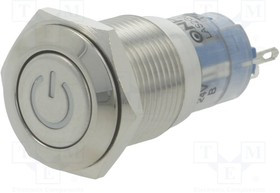 V16-21DT-24B-S, Переключатель: антивандальный, Пол: 2, SPDT, 0,5A/220ВAC, 1A/24ВDC