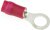 FVDWS1.25-5 (LF), R Insulated Ring Terminal, 5mm Stud Size, 0.25mm² to 1.65mm² Wire Size, Red FVDWS1.25-5 (LF), R Insulated Ring Terminal, 5mm Stud Size, 0.25mm² to 1.65mm² Wire Size, Red