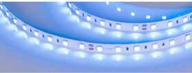 Светодиодная лента RT-B60-10mm 24V Blue 5 м 008819(2)