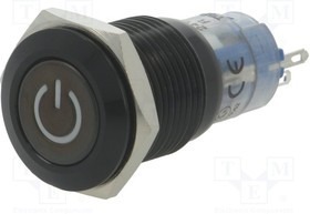 V16-21DT-24R-A, Переключатель: антивандальный, Пол: 2, SPDT, 0,5A/220ВAC, 1A/24ВDC