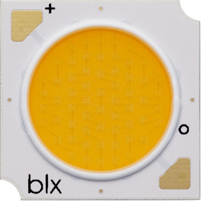 BXRE-30S1001-C-73, Power LED; COB; 120°; 360mA; P: 12.4W; 1437lm; 13.5x13.5x1.7mm