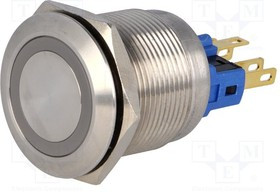 V22-21R-12R-S, Переключатель: антивандальный, Пол: 2, SPST-NO + SPST-NC, IP65