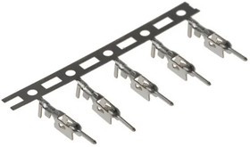 SPAL-002T-P0.5