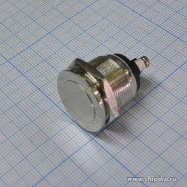 PBS28B-2, Кнопка без фиксации OFF-(ON) (2A 250VAC) (антивандальная)