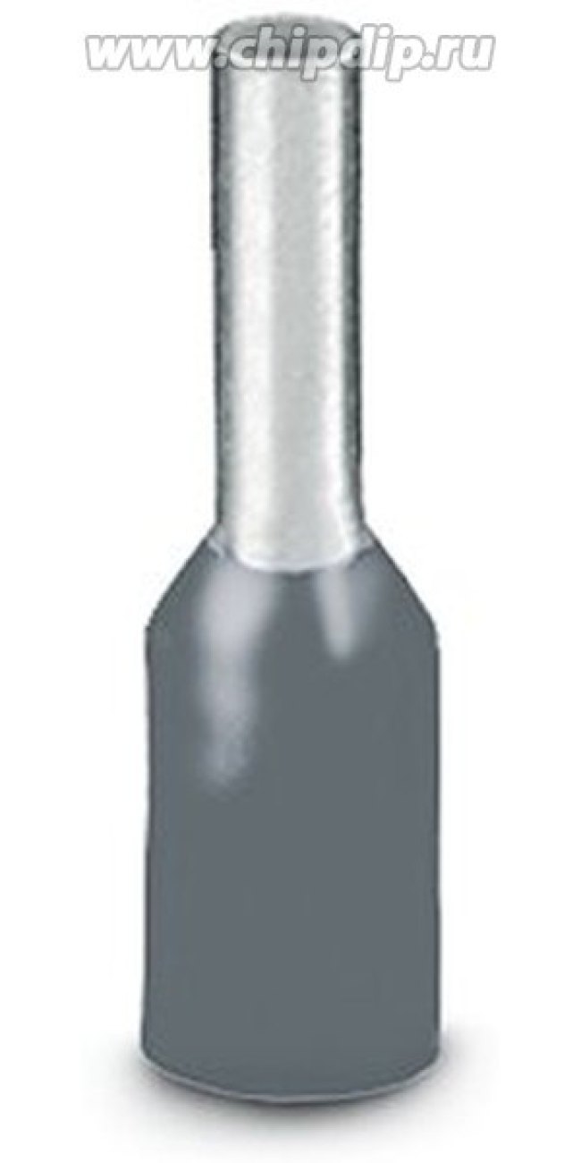 3200069