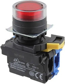 A22NL-BGM-TRA-G100-RD A22NL-BGM-TRA-G100-RD