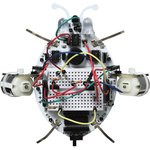 Робожук, Электронный конструктор «Робожук» Робожук, Электронный конструктор «Робожук»